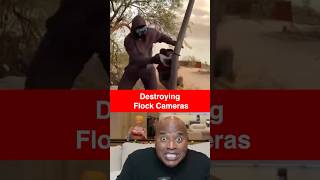 Destroying Flock Cameras #flock #ai #flockcameras #surveillance #deflock #crime