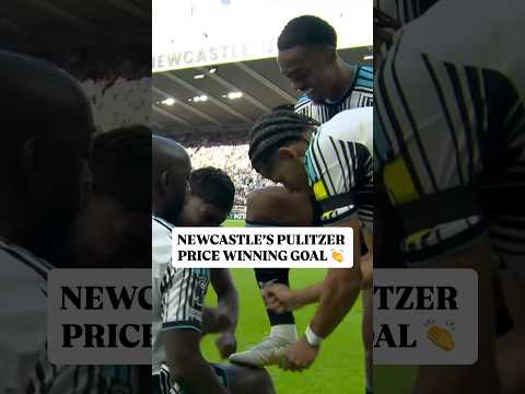 A PULITZER PRIZE WINNING POEM OF A GOAL PUTS NEWCASTLE IN FRONT OF LIVERPOOL #newcastle #liverpool