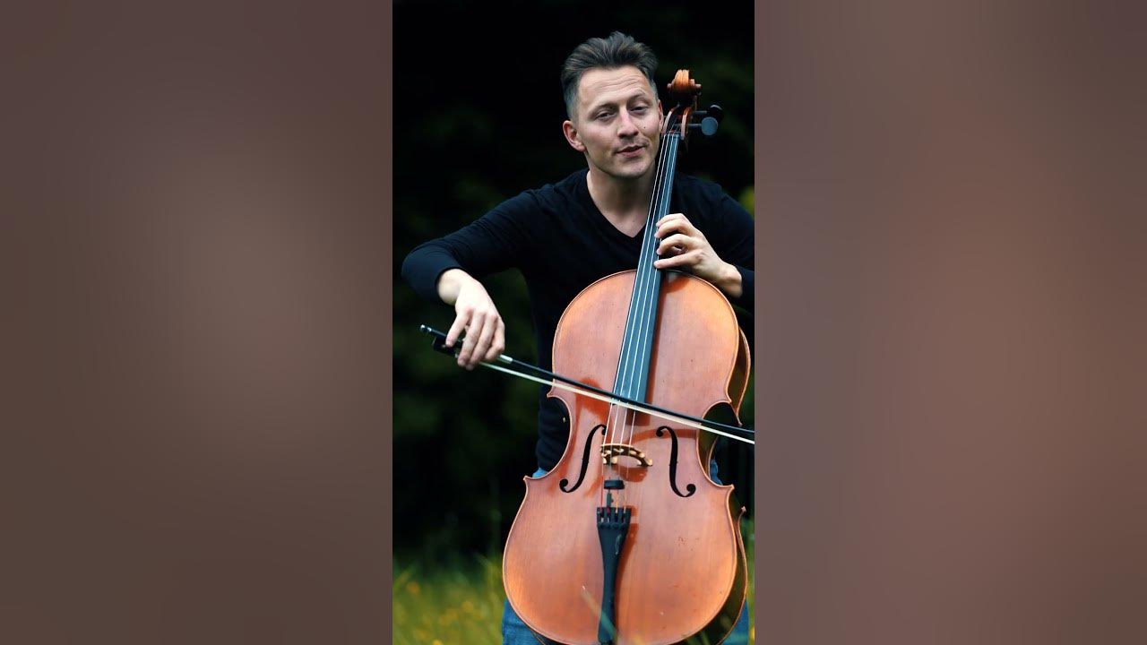 Schindlers List - Cello #cello #cellomusic #classicalmusic #schindlerslist