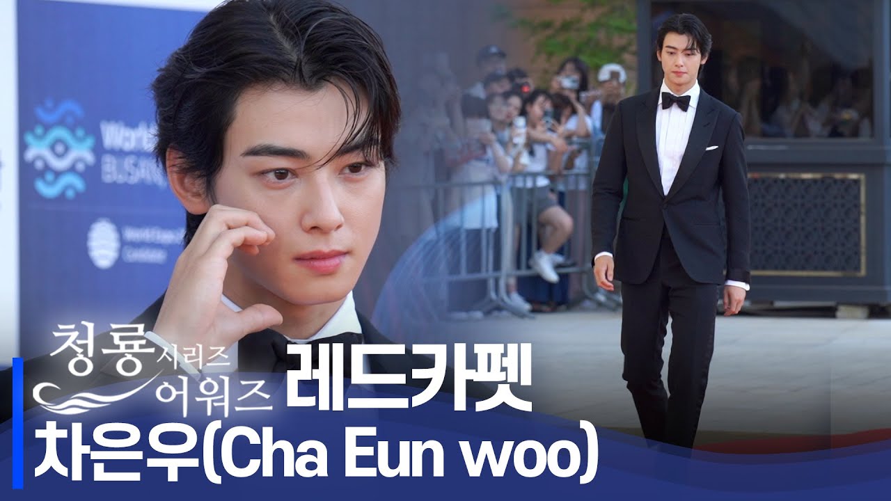 차은우 (Cha Eun Woo) '어디를 찍을지 모르겠는 믿을 수 없는 외모' | 청룡 시리즈 어워즈 레드카펫 [BLUE DRAGON SERIES AWARDS Red Carpet]