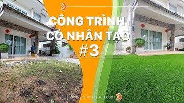 Công trình thi công trải thảm cỏ nhân tạo sân vườn Biệt thự Quận 8 | Cỏ Nhân Tạo SG