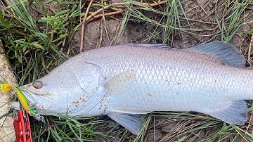 Câu lure cá chẽm bình đại - đi ngay ngày mưa bão, sự bất cẩn nguy hiểm gây hại đồng đội 