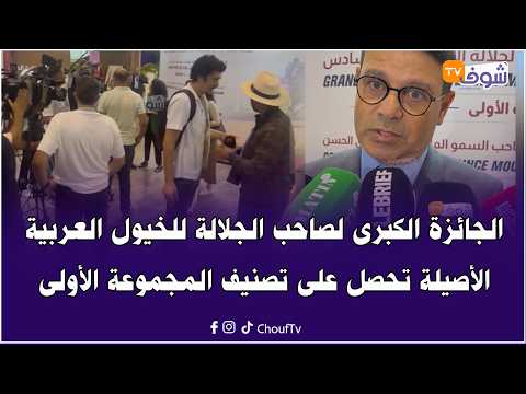 الجائزة الكبرى لصاحب الجلالة للخيول العربية الأصيلة تحصل على تصنيف المجموعة الأولى