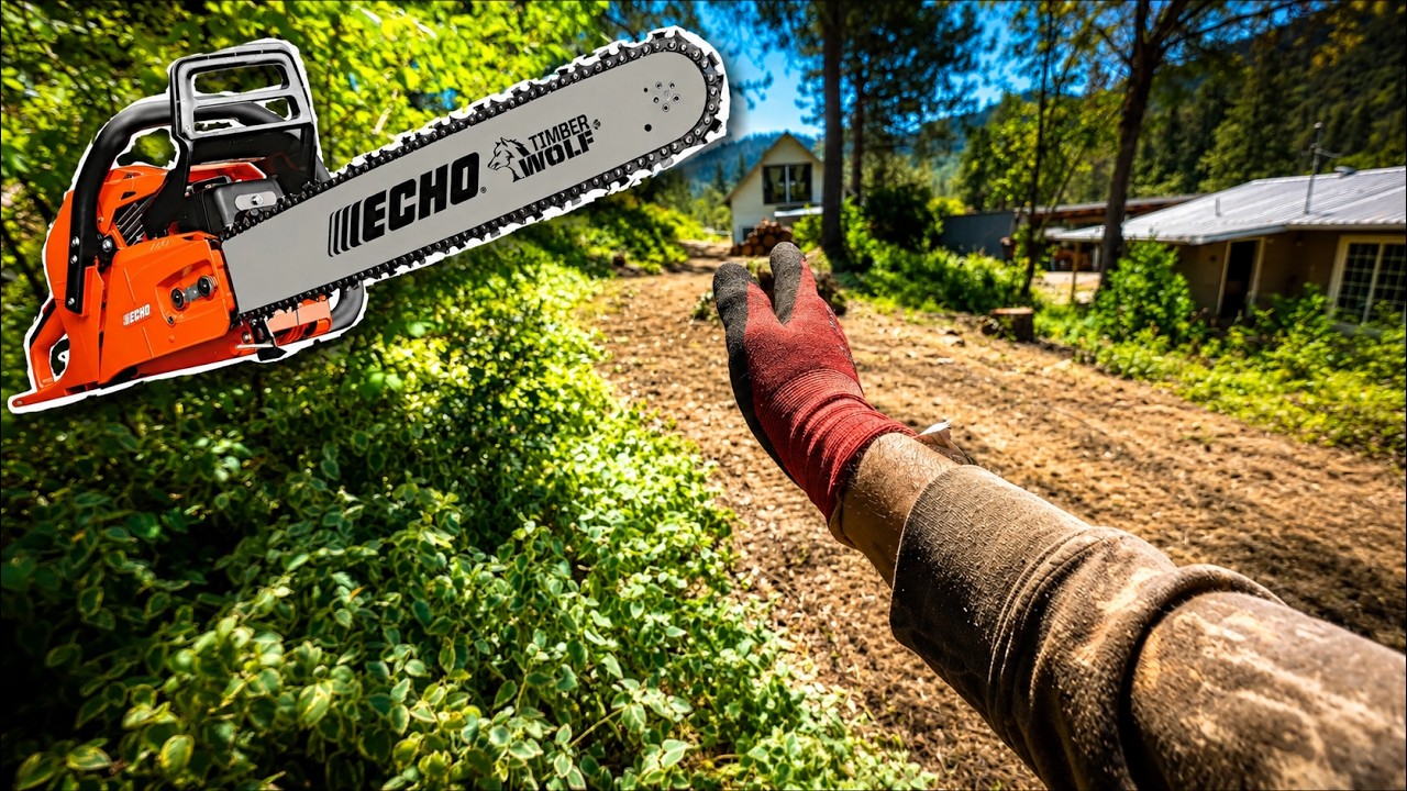 Felling Tree 90° From It's Lean