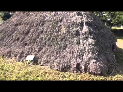 阿騎野 人麻呂公園 奈良県宇陀市大宇陀 柿本人麻呂 パワースポット