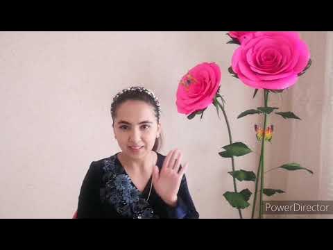 Mening kaltakning mushuk surati Otgan asrning boshidan porno