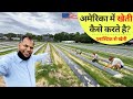 अमेरिका में किसान लोग खेती कैसे करते है  America ke khet kaise hote hai, Plastic mulch खीरा की खेती