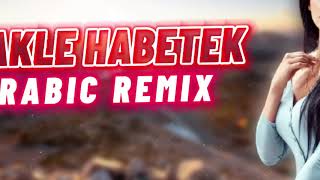 Arabic Remix 2020 - Shakle Habetek شكلي حبيتك ( Remix 2021 ) - Yabancı Şarkılar 2021 Resimi