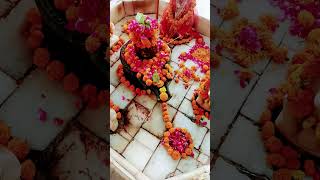 Pandit Dhirendra Shastri Ji 🔥 Powerful Pravachan | Bageshwar Dham Sarkar 🙏 #shorts