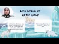 VIDEO ASSIGNMENT BIO320 (ANIMALIA) : CANIS LUPUS ARCTOS