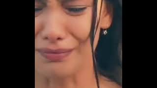 مصطفي كامل حكايتنا