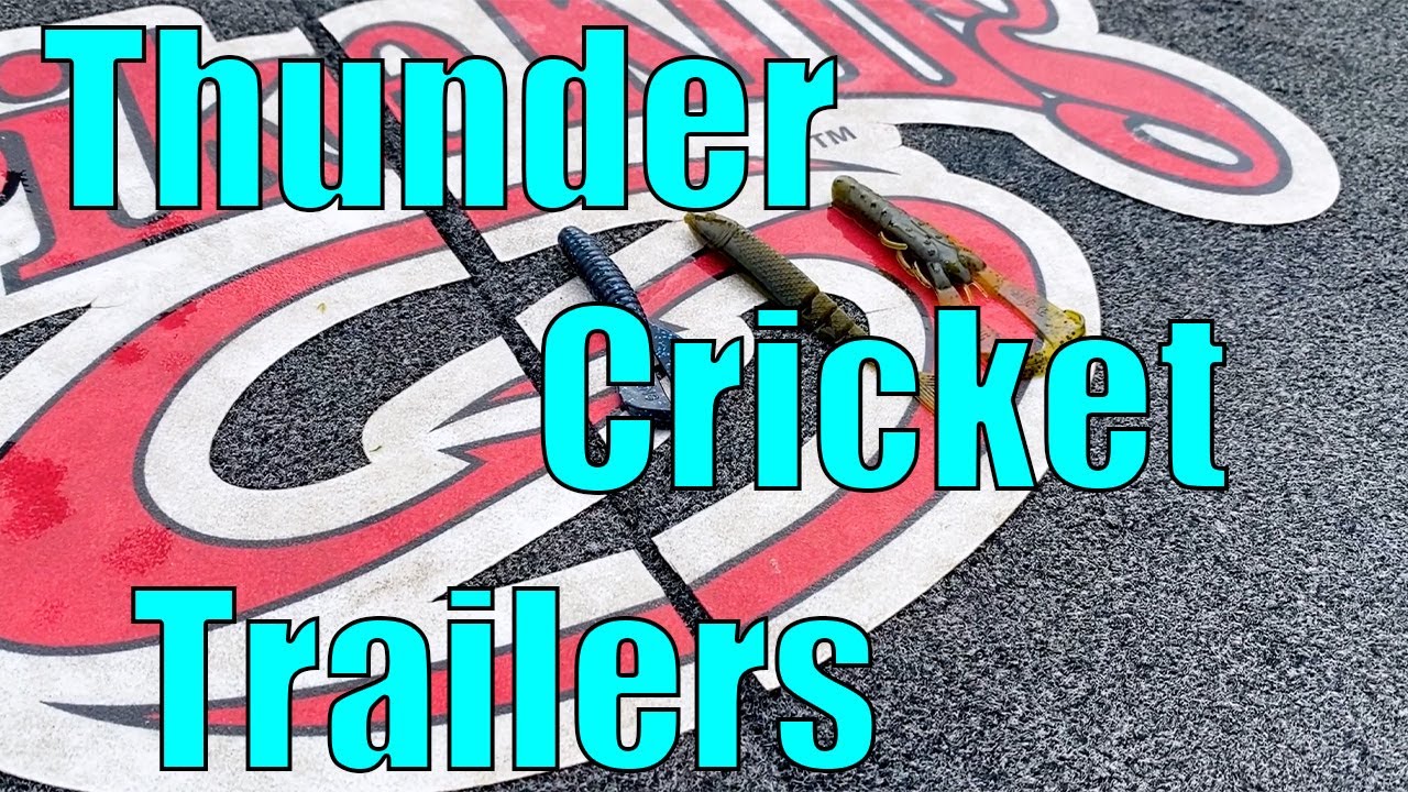 Jay Pzrekurat's TOP 3 Thunder Cricket Trailers 