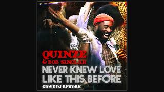 QUINZE & Bob Sinclar - Never knew love like this before (Giove DJ Rework Edit) Resimi