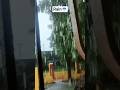 Barish | Little drops of rain |☔🌧️#rain#school#students#viralvideo#shorts#viral#trending