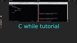 C Programming while (loop) tutorial in Linux