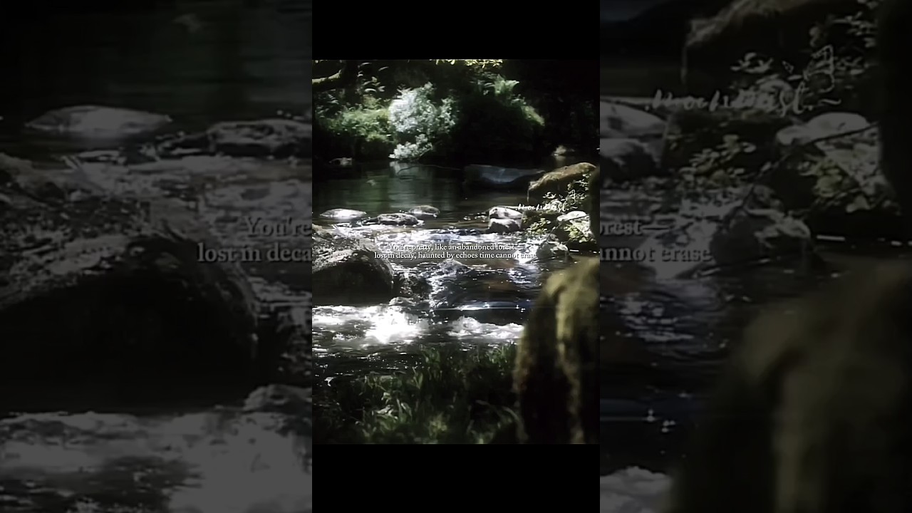 Even decay has its elegance ✨🌿