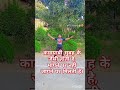 मेहनत करते रहिए.... morning workout #morninginspiration #lyrics #youtubeshorts #motivation #khakii