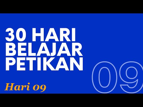 Video: Cara Membalas Dengan Petikan