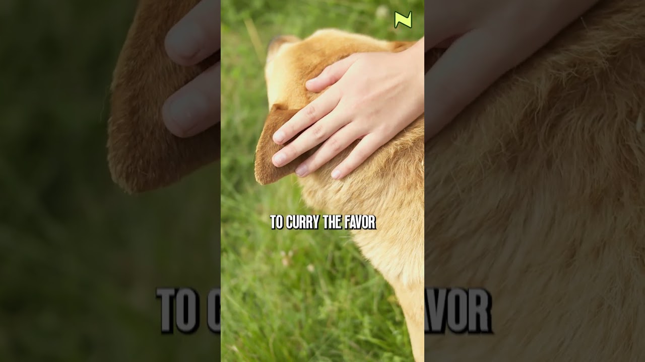 Ex-RBI Governor Shares Advice For Civil Servants 