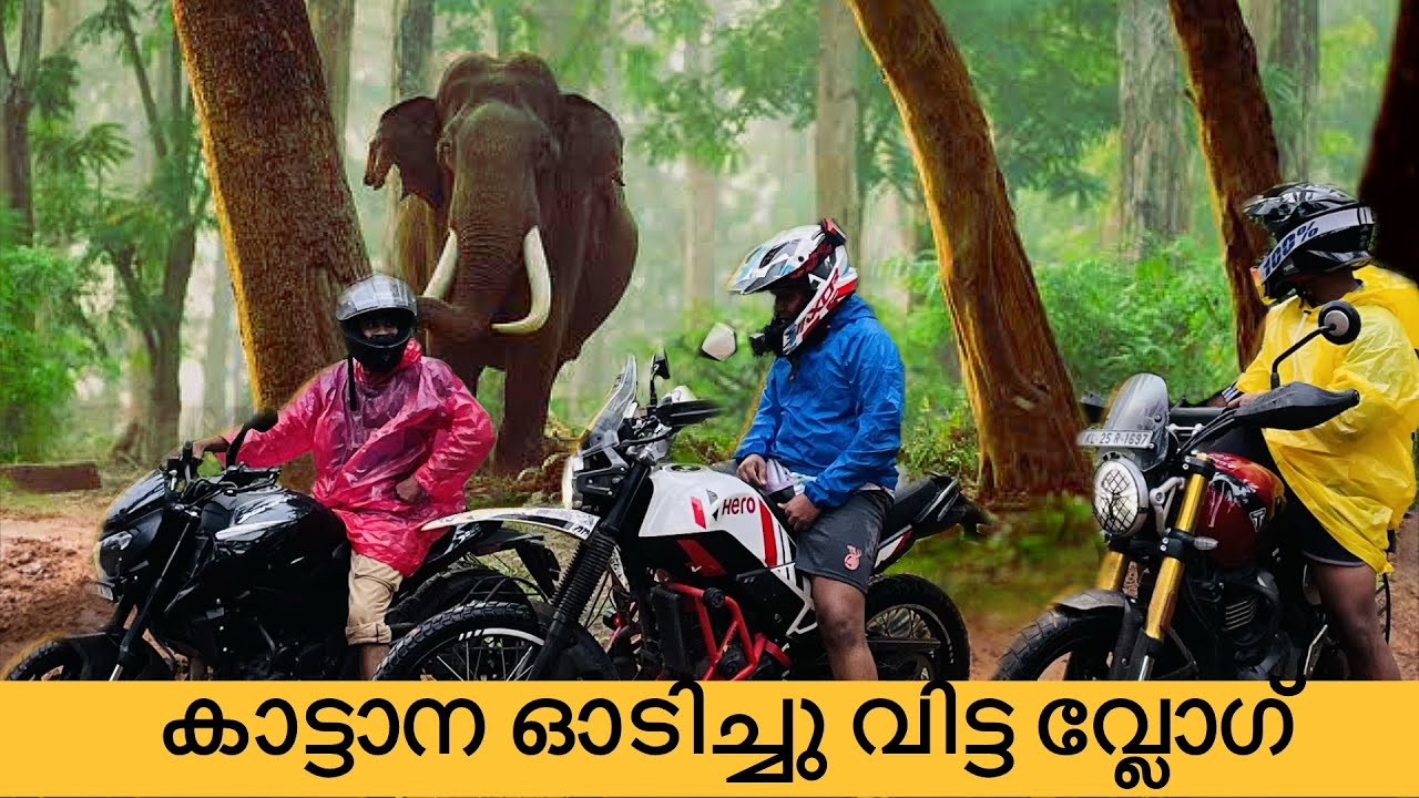 ആന വന്നു  വണ്ടികളഞ്ഞു കണ്ടംവഴി ഓടി  ഒരു OFFROAD😳😂