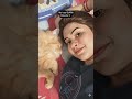 Meri Saari Duniya Hi Tum Ho ✨ | Cute Persian Cat Love Moment | Cat Short #shorts #ytshorts #viral