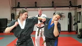 Adult Green Belt  Hook Punch Self Defense Series