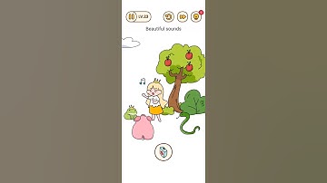 Brain Find | Level 22,23,24,25