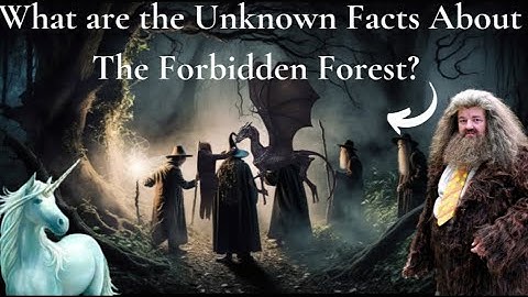 Who are the Fascinating Creatures in the Forbidden Forest? Harry Potter World!!