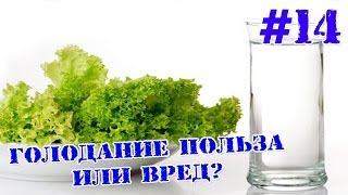 Лечебное голодание польза или вред? Лечебное голодание польза или вред?