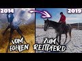 Vom Fohlen zum Reitpferd ✮ Rubielle - mein selbstgezogenes Fohlen wird erwachsen ♥