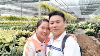 Mpk2 Gia Đình [ 5/10/2019] 0109