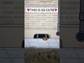 I LOVED THAT TOCA BOCA MADE THIS LITTLE CUTE SECRET. THIS IS SO ADORABLE 🥰 @tocax.lifex.worldx