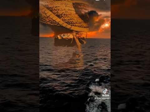 حيتنا مثل البحر