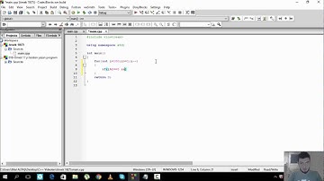 C++ da Örnek 17 yi tersten yazan program