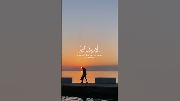 {مَا أَصَابَ مِن مُّصِيبَةٍ إِلَّا بِإِذْنِ اللَّهِ} سورة التغابن  #القرآن_الكريم #القرآن #قرآن