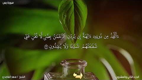 آيات رقم ٢٠ - ٢٧ من سور يس