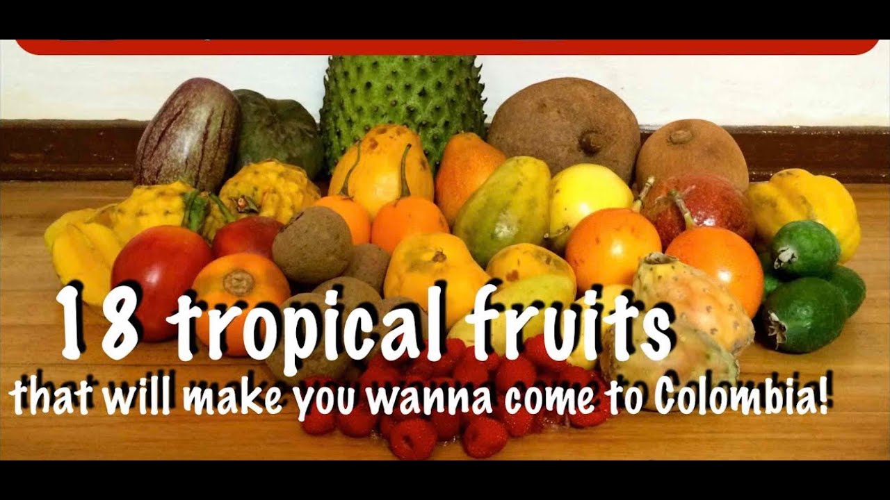 18 tropical fruits from colombia's fruitarian paradise - youtube