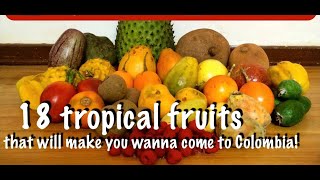 18 Tropical Fruits from COLOMBIA