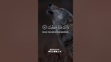 ﴿لقد كان في يوسف وإخوته آيات للسائلين﴾ سورة يوسف SURAH YUSUF #عبدالولي_الاركاني #abdulwali_alarkani