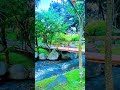 🌿💧 Pure River Flow ASMR – Calm Your Mind with Nature Sounds #asmr #nature #asmrshorts #asmrvideo