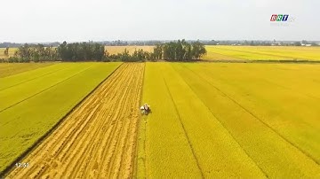 Phóng sự 7/1/2023 | Kinh tế tuần hoàn tại BR-VT: Những tín hiệu khởi sắc | BRT TV