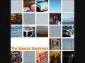 The Special Goodness - Life Goes By