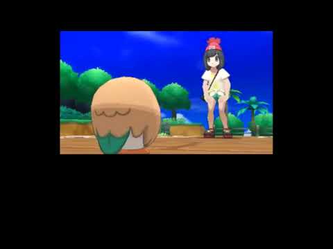 【準備編】色違い全国図鑑を作るポケモンサン【生放送4】（保存版）