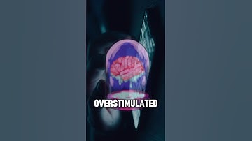 Your brain is overstimulated