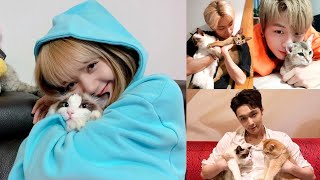 วันกอดแมวสากล กับคนบันเทิงทาสแมว National Hug Your Cat Day @Inside News Tonight 4Jun21 วันกอดแมวสากล กับคนบันเทิงทาสแมว National Hug Your Cat Day @Inside News Tonight 4Jun21