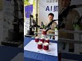 LeRobot Star Arm 🤖 Embodied AI Robotic Arm Demo | Hands-On at Maker Faire