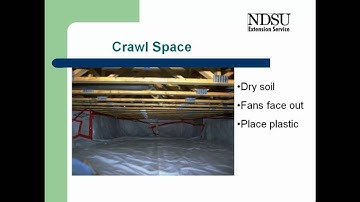 Flooded House Clean-up: Clean-up Process 2 (video 4 of 5)