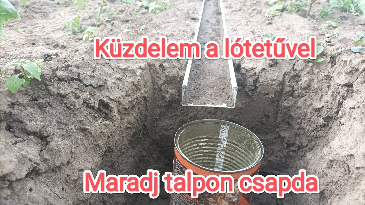 Csapda Vicc lótetű csapda - YouTube