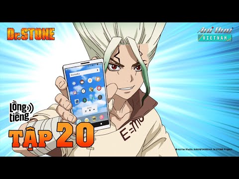 Dr. Stone