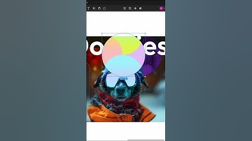 Day 1 of creating files for the studio! #figma #dog #beyonce #figmaanimation #tutorial #design #ui